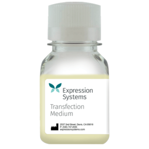 baculovirus expression vector